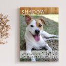 Search for favorite hello hardest goodbye Rainbow bridge