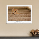 Search for monogram art Pet