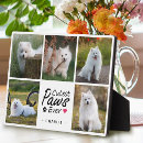 Search for dog plaques Modern