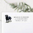 Search for labrador return address labels Animal