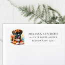 Search for boxer return address labels Pet