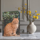 Search for fur baby fathers day cards Kitten