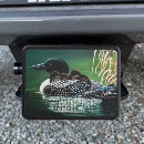 Search for common loon home living Lake life