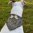 Search for scottish tartan dog collars Dogs