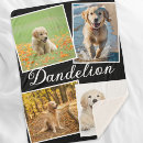 Search for pet photo blankets Keepsake
