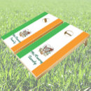 Search for irish cornhole sets Celtic