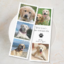 Search for dog bookmarks Modern