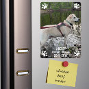 Search for pet memorial magnets Funeral