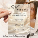 Search for vellum save the dates Gold