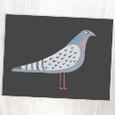 Search for bird postcards Dove