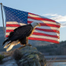Search for patriotic puzzles Maga