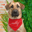 Search for dog collars Modern