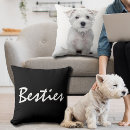 Search for pet pillows Modern chic script calligraphy