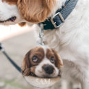 Search for cavalier king charles spaniel gifts Simple