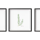 Search for kitchen herb art Chef