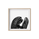 Search for sloth posters Slow