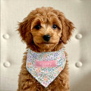 Search for pet supplies Cute