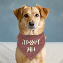 Search for cute dog collars Dogs