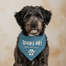 Search for dog collars Cute