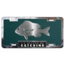 Search for sheepshead Fish