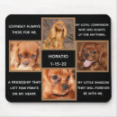 Search for pet bereavement gifts Elegant