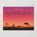 Search for kangaroos postcards australia