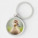 Search for duck keychains Wildlife
