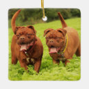 Search for dog breed ornaments Puppies
