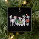 Search for dalmatian ornaments Winter