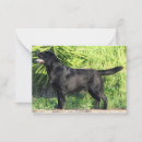 Search for dog note cards Labrador retriever