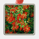 Search for chile ornaments South america