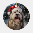 Search for polish ornaments Funny