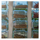 Search for spice tiles Cooking