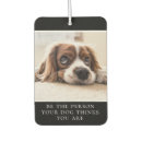 Search for cute car air fresheners Dog photo