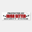 Search for irish bumper stickers Setter