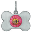 Search for bee pet tags Wings