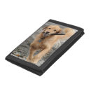 Search for dog wallets Golden retriever