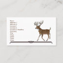 Search for whitetail deer business cards Buck