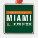 Search for miami ornaments Um