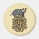 Search for harry potter magnets Snape
