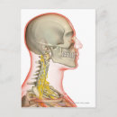 Search for transparent postcards Body