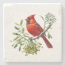Search for holiday coasters Birds