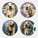 Search for photo coasters pet