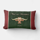 Search for longhorns pillows Steer