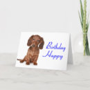 Search for dachshund birthday cards Dashound