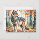 Search for wolf postcards Woodland