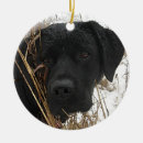 Search for black labrador ornaments hunting dog