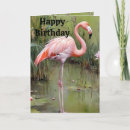 Search for pink flamingo birthday cards Bird