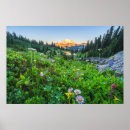 Search for washington state parks posters Mt rainier