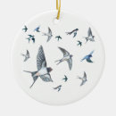 Search for bird ornaments Ornithology